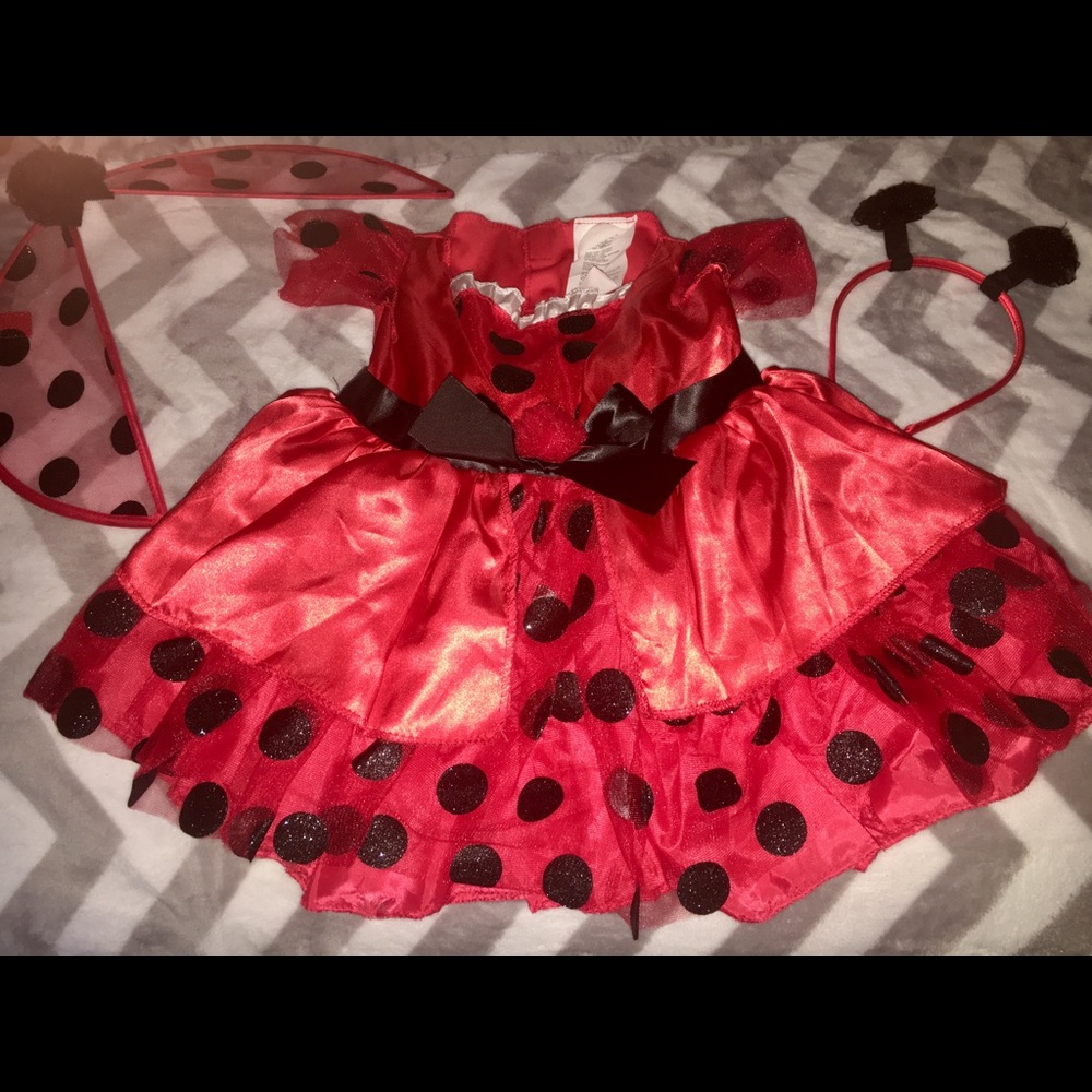 Ladybug Toddler Girls Costume - 2T - EUC🐞